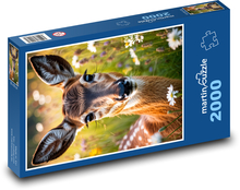 Jeleň na lúke Puzzle 2000 dielikov - 90 x 60 cm
