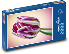 Tulipán - květina, květ Puzzle 2000 dílků - 90 x 60 cm