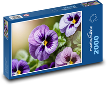 Fialové macešky v záhrade Puzzle 2000 dielikov - 90 x 60 cm