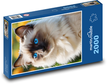 Blaue Katzenaugen Puzzle 2000 Teile - 90 x 60 cm