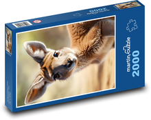 Klokan - vačkovec z Austrálie Puzzle 2000 dielikov - 90 x 60 cm