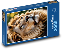Lion - king of animals Puzzle 2000 pieces - 90 x 60 cm