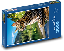 Kočka u jezera Puzzle 2000 dílků - 90 x 60 cm