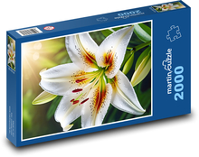 Kwitnąca biała lilia Puzzle 2000 elementów - 90x60 cm