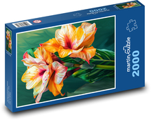 Amaryllis - orange, flower Puzzle 2000 pieces - 90 x 60 cm