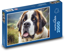Pes -  Bernard, domáci maznáčik Puzzle 2000 dielikov - 90 x 60 cm