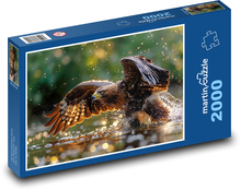 Jastrab - sokol, vták nad vodou Puzzle 2000 dielikov - 90 x 60 cm