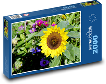 Žltá slnečnica - kvet na poli, kvet Puzzle 2000 dielikov - 90 x 60 cm