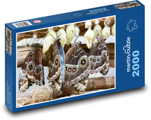 Schmetterlinge - Insekten, Garten Puzzle 2000 Teile - 90 x 60 cm
