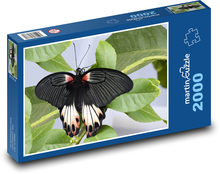 Schwarzer Schmetterling - Insekt, Flügel Puzzle 2000 Teile - 90 x 60 cm