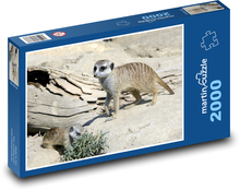 Meerkats - small animal, mammal in nature Puzzle 2000 pieces - 90 x 60 cm