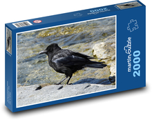 Krähe - schwarzer Vogel, Tier Puzzle 2000 Teile - 90 x 60 cm