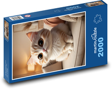 Katze - süßes Baby, Kätzchen Puzzle 2000 Teile - 90 x 60 cm