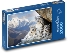 Rodina leopardov v horách Puzzle 2000 dielikov - 90 x 60 cm