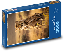 Gepard na savane Puzzle 2000 dielikov - 90 x 60 cm
