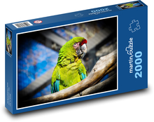 Papuga ptaka na gałęzi Puzzle 2000 elementów - 90x60 cm