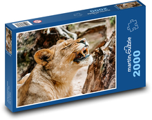 Lvice s natiahnutými zubami Puzzle 2000 dielikov - 90 x 60 cm