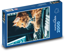The cat works on the computer Puzzle 2000 pieces - 90 x 60 cm