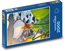 Weiße Blume am Fluss Puzzle 2000 Teile - 90 x 60 cm