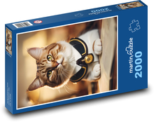 Vzdelaná mačka s knihou Puzzle 2000 dielikov - 90 x 60 cm