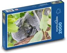 Niedźwiedź Koala śpiący na drzewie Puzzle 2000 elementów - 90x60 cm