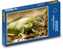 Zelený leguán Puzzle 2000 dílků - 90 x 60 cm