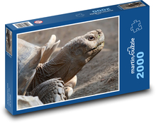 Obrovská želva Puzzle 2000 dílků - 90 x 60 cm