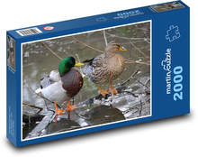 Enten auf einem gefrorenen Fluss Puzzle 2000 Teile - 90 x 60 cm