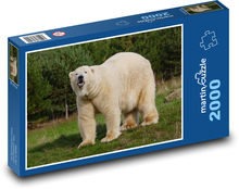 Lední medvěd v přírodě  Puzzle 2000 - 90x60 cm