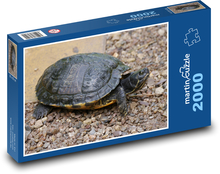 Gad - żółw Puzzle 2000 elementów - 90x60 cm