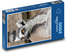 Lemur - primát Puzzle 2000 dielikov - 90 x 60 cm