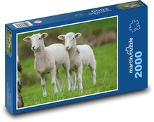Jehňata na pastvě Puzzle 2000 dílků - 90 x 60 cm
