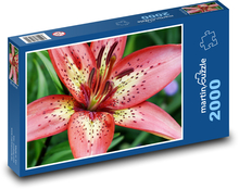 Červená lilie - květ, rostlina Puzzle 2000 - 90x60 cm