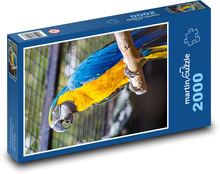 Papoušek - pták, zoo Puzzle 2000 dílků - 90 x 60 cm