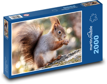 Wiewiórka - zwierzę, gryzoń Puzzle 2000 elementów - 90x60 cm