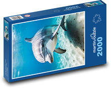 Delfin w morzu Puzzle 2000 elementów - 90x60 cm