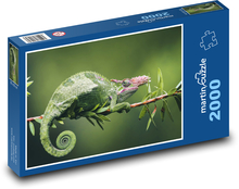 Zelený chameleón Puzzle 2000 dílků - 90 x 60 cm