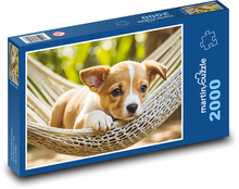 Šteňa v hojdacej sieti Puzzle 2000 dielikov - 90 x 60 cm