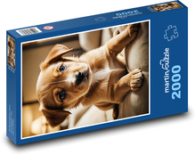 Hnědé štěně Puzzle 2000 - 90x60 cm