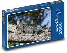 Eidechse Puzzle 2000 Teile - 90 x 60 cm