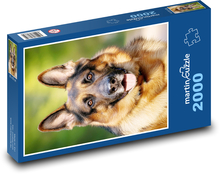 Hund - Deutscher Schäferhund Puzzle 2000 Teile - 90 x 60 cm