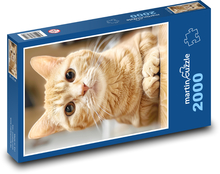 Eine Katze mit langem Bart Puzzle 2000 Teile - 90 x 60 cm
