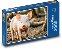Malé prase v lese Puzzle 2000 dílků - 90 x 60 cm