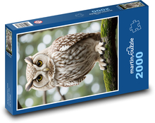 Sova Puzzle 2000 elementów - 90x60 cm