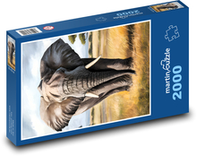 Slon Puzzle 2000 dielikov - 90 x 60 cm