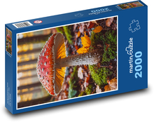 Grzyb trujący Puzzle 2000 elementów - 90x60 cm