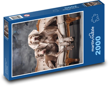 Pes - Weimarský stavač Puzzle 2000 dielikov - 90 x 60 cm