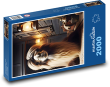 Velbloud Puzzle 2000 dílků - 90 x 60 cm