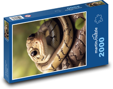Zamotaný had Puzzle 2000 dielikov - 90 x 60 cm