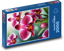Květ orchideje Puzzle 2000 dílků - 90 x 60 cm